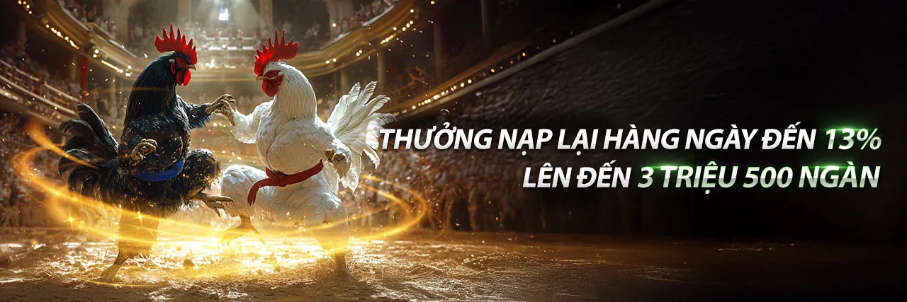 Hình ảnh chính blog SCV388 Code với các thông tin cá cược